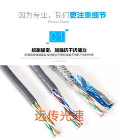遠傳光速國標過測網線 超五類品質，300米無氧銅芯的可靠之選